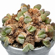 02_750_9298B_Select subj + Inv selection + Overstyr bagg med LightEQ