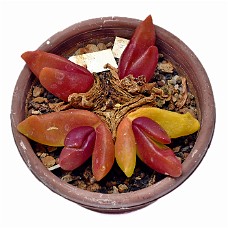 03_750_9308C_Select subj + Inv selection + Overstyr bagg med LightEQ