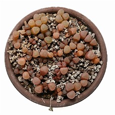 05_750_9338C_Select subj + Inv selection + Overstyr bagg med LightEQ