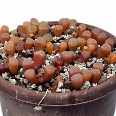 05_750_9343B_Select subj + Inv selection + Overstyr bagg med LightEQ