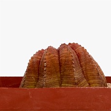 p11_750_2966d_HvidHimmel