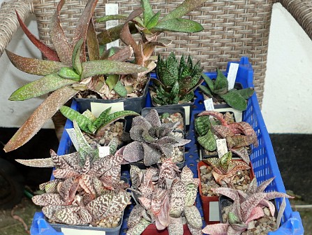 Session03 September 2022