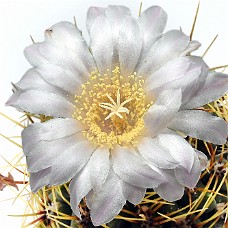 01_750_9267C2_Select subj + Inv selection + Overstyr bagg med LightEQ