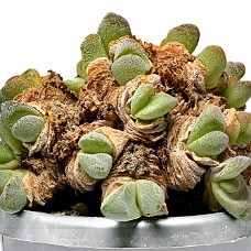 02_750_9293A_Select subj + Inv selection + Overstyr bagg med LightEQ