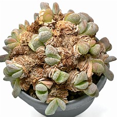 02_750_9303C_AI select subj + inverse + LightEQ overstyr bagg