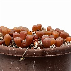 05_750_9348A_Select subj + Inv selection + Overstyr bagg med LightEQ