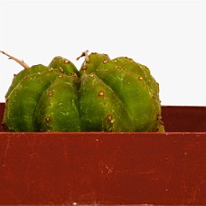 p10_750_2961_01_HvidHimmel