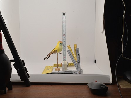 CCD->Objekt 100cm ƒ/16 9 x eksponeringsbracketing