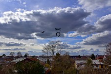 750_7647e Stor fugl til vernstre for lille fugl?