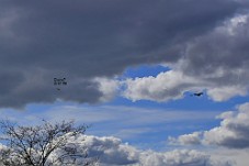 750_7650f Fugl og drone to sekunder senere.