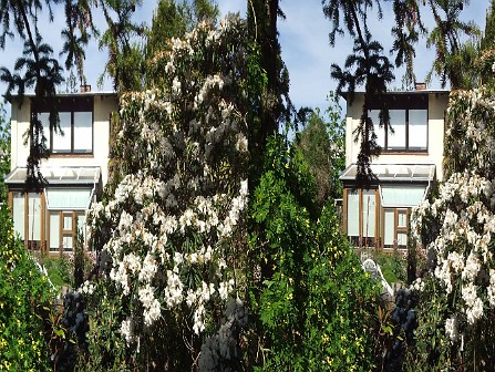 SideBySide (se paa TV)