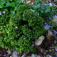 18-05-2022_750_2881c