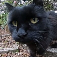 Havevandring01_HDQ1 Kviktur