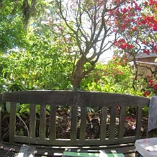 Havevandring_Take2_Klip04 Secret Garden Rundtur 4