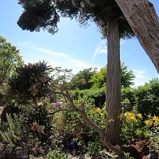 Havevandring_Take2_Klip05 Secret Garden Rundtur 5